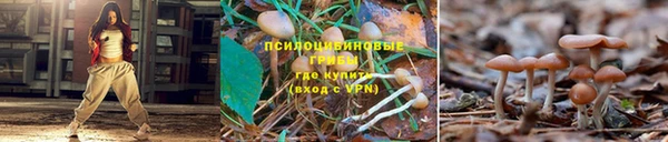 дживик Арсеньев