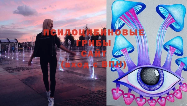 соль ск Аркадак