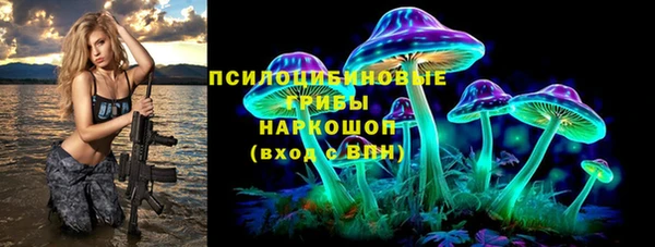 дживик Арсеньев
