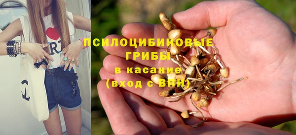 дживик Арсеньев