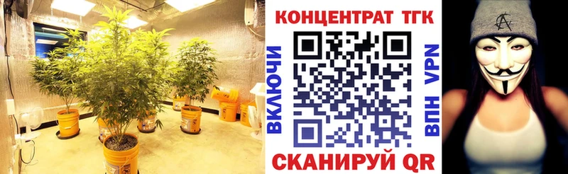 дарнет шоп  Чудово  hydra ссылки  ТГК концентрат 
